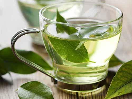 Nước trà xanh giúp giảm mỡ và chống lão hoá
